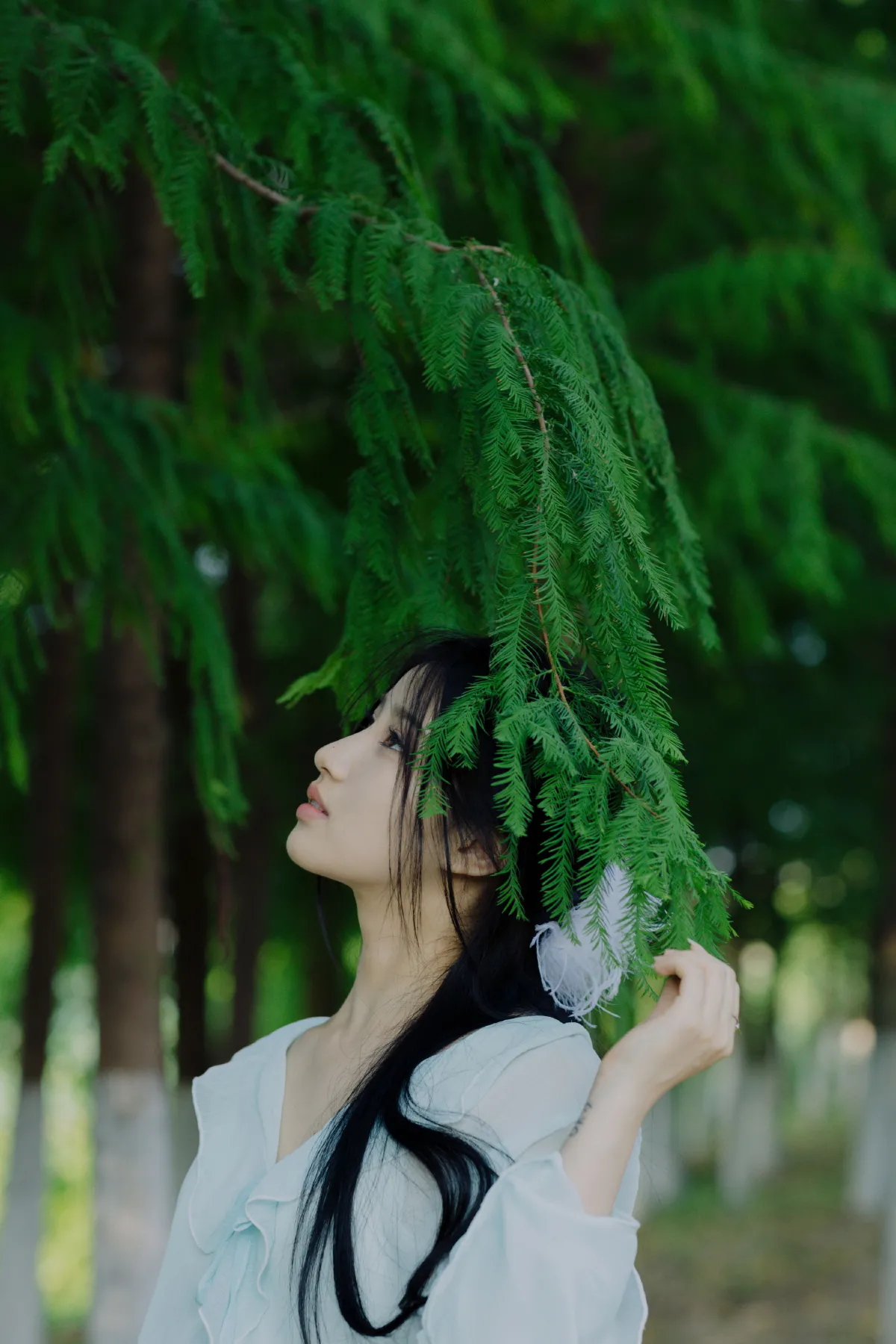 清澈的夏日