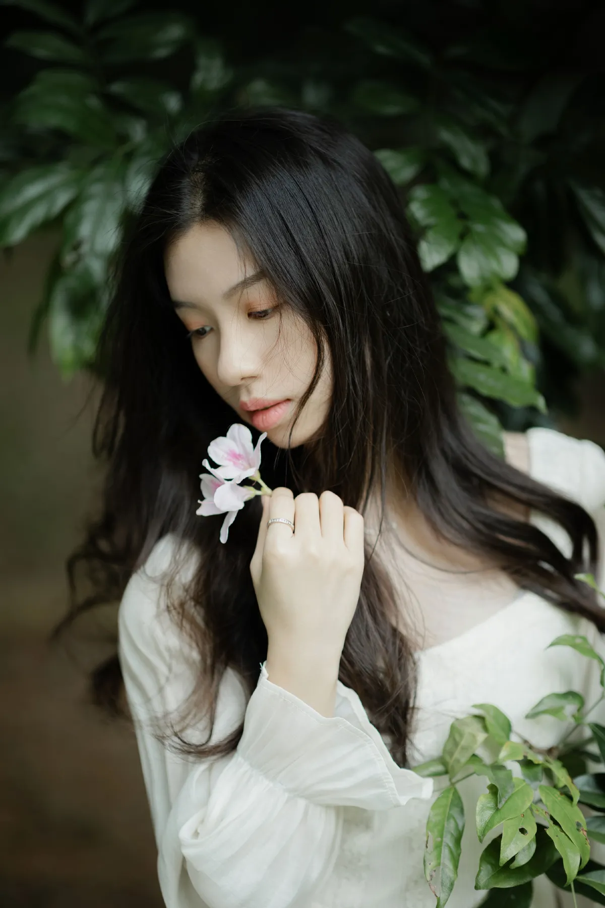 森之语2