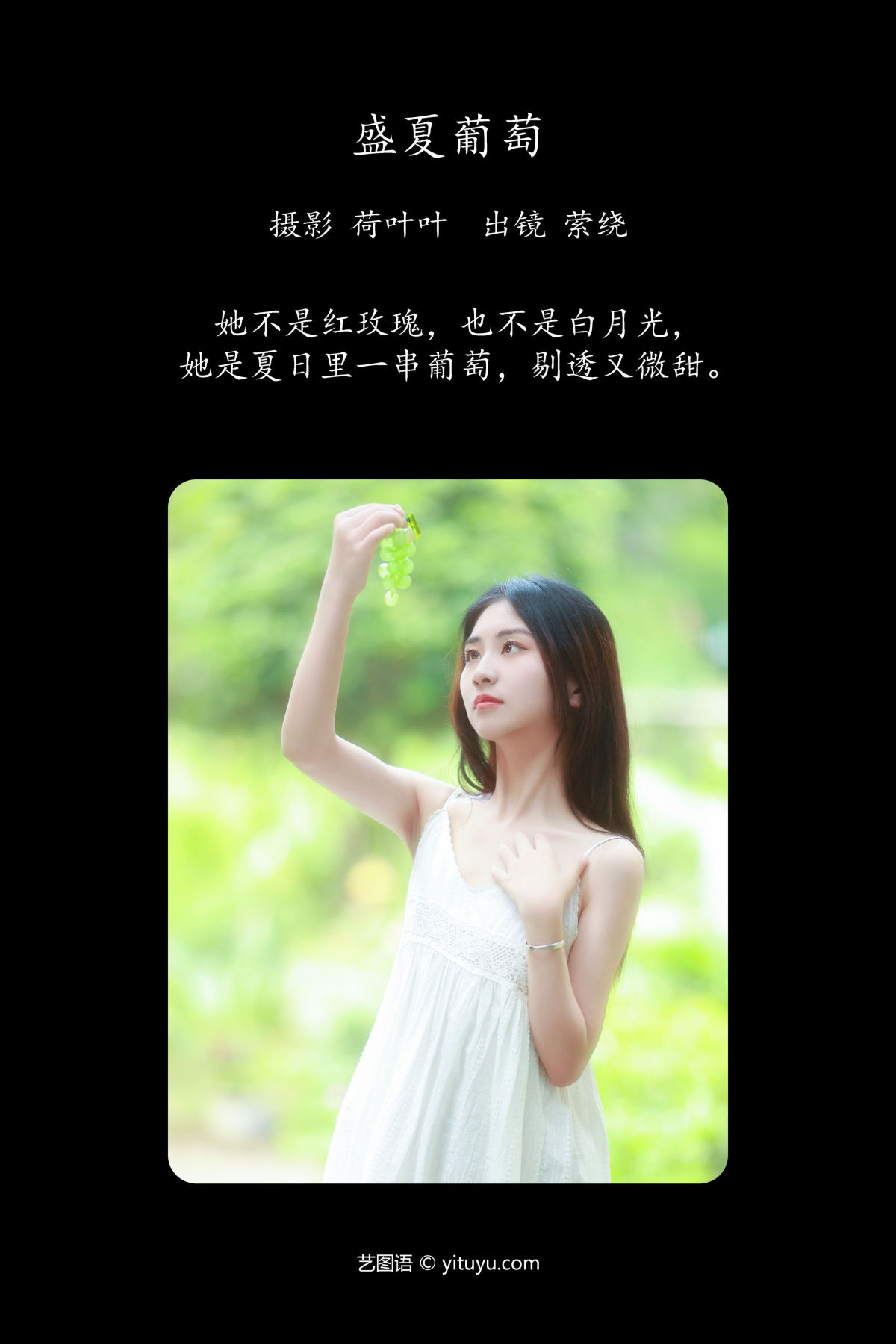 荷叶叶_萦绕《盛夏葡萄》美图作品图片2