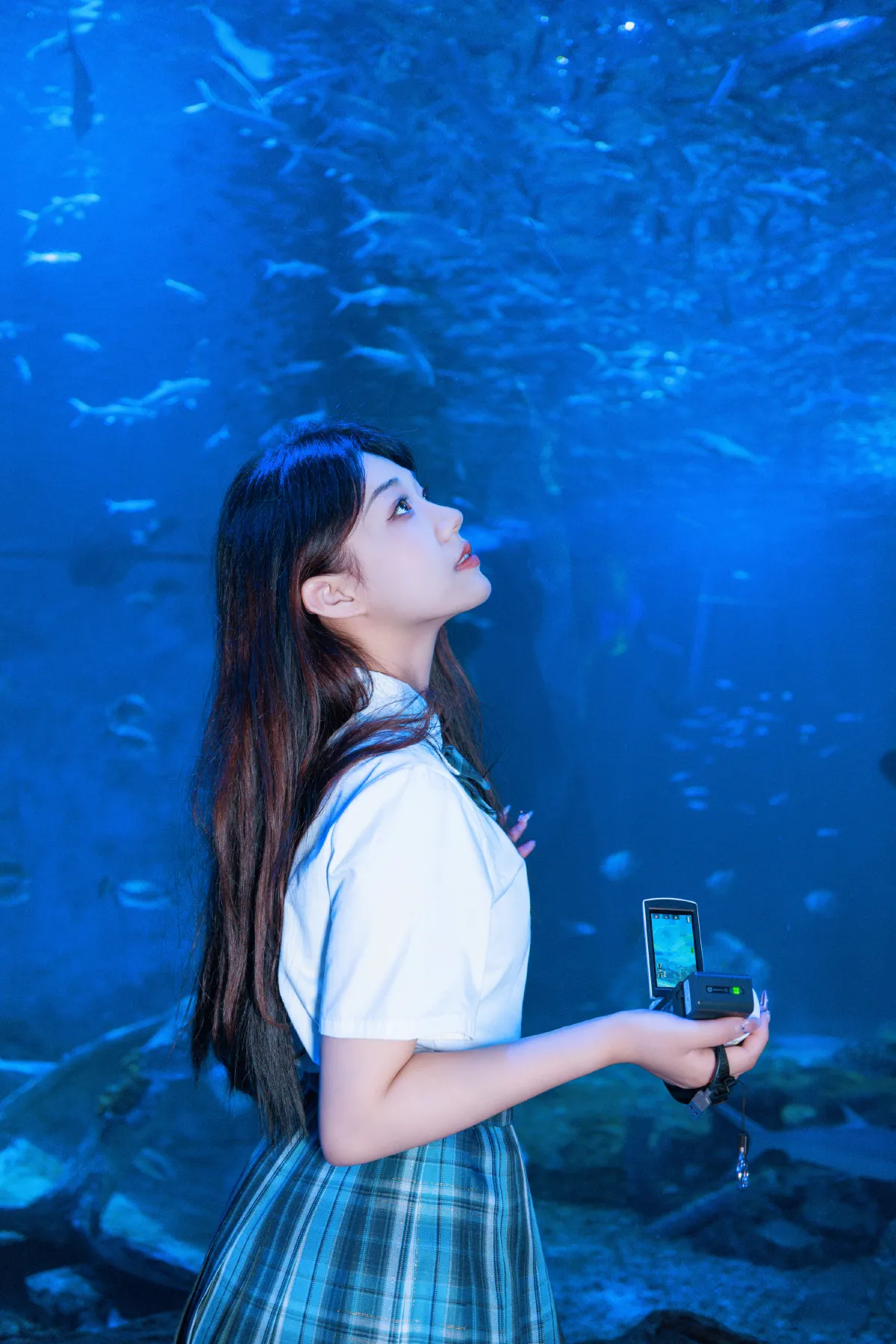 海洋之心