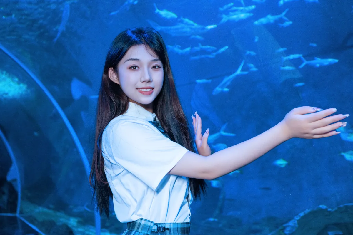 海洋之心