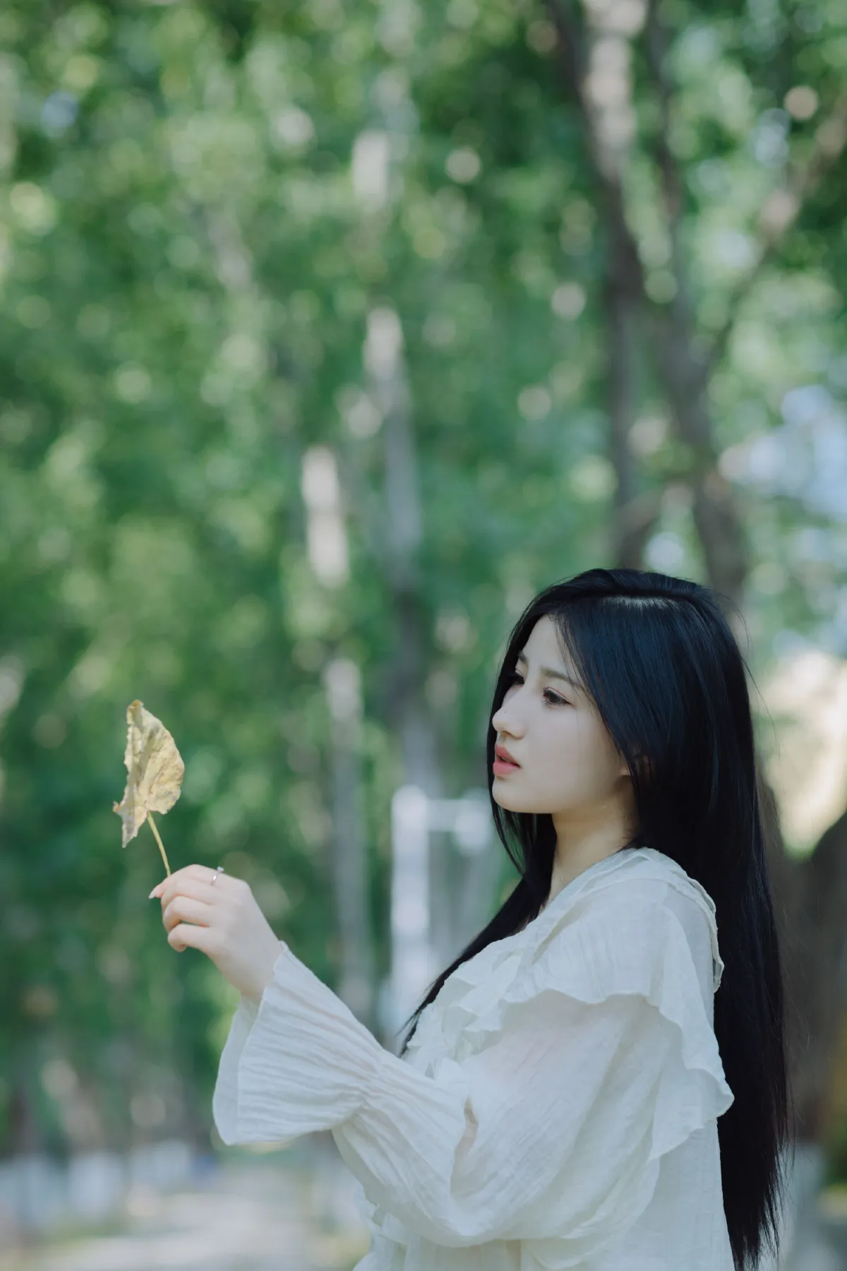 纯洁的夏日1