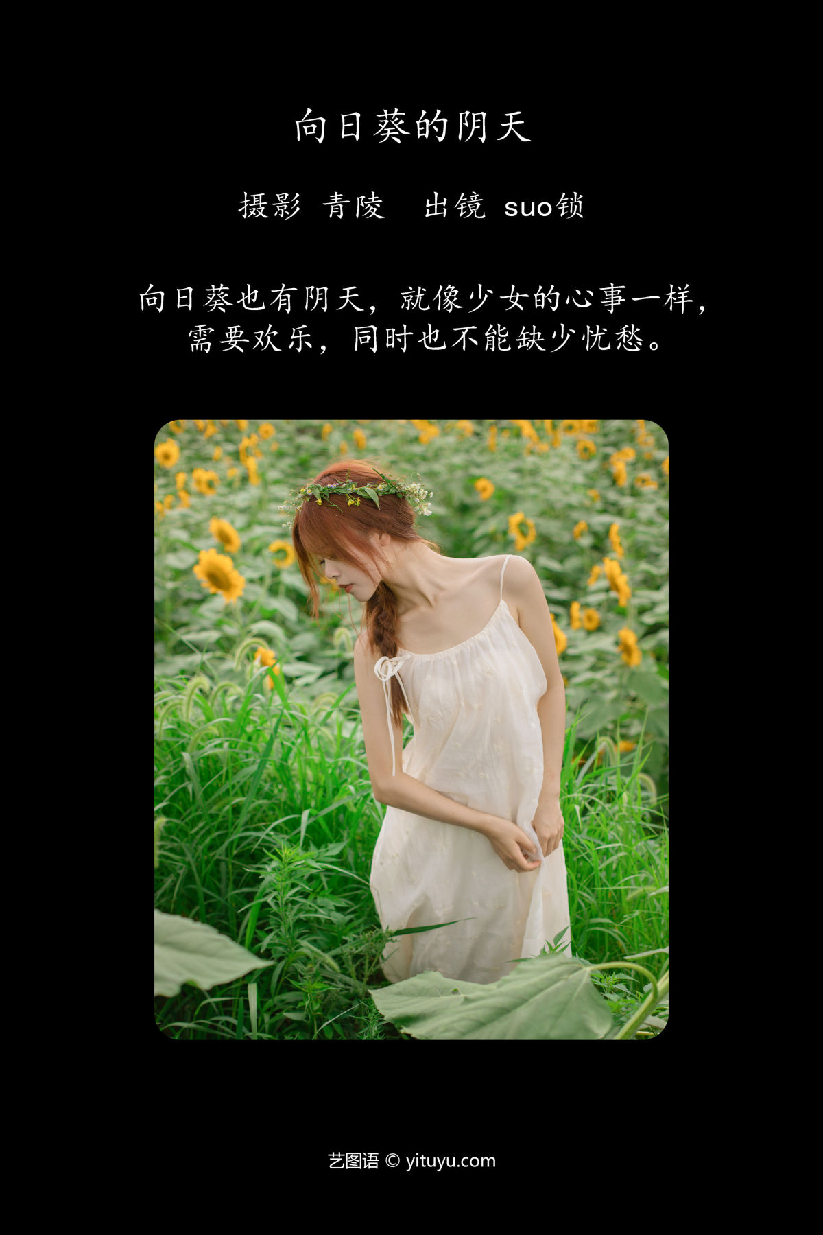 青陵_suo锁《向日葵的阴天》美图作品图片2