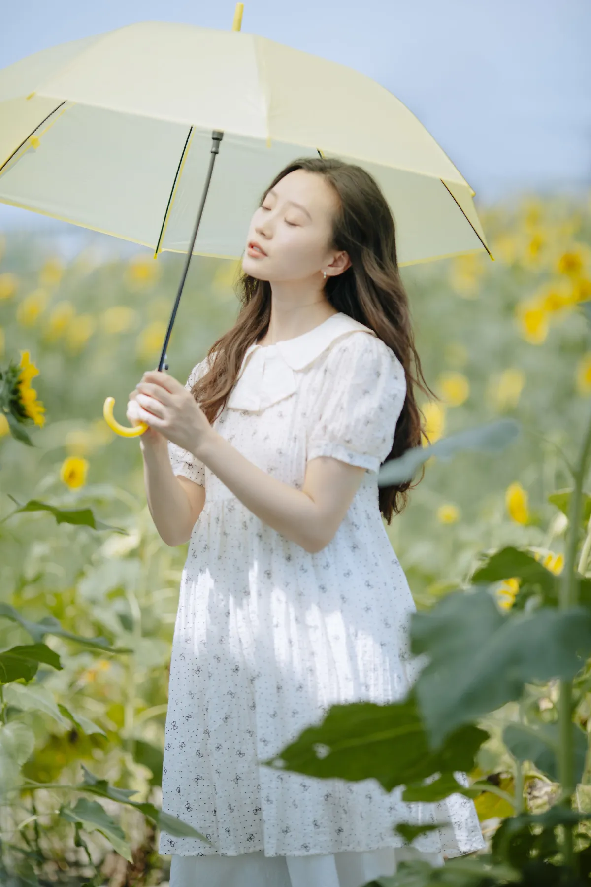 春和陆梨_绿豆《打碎了一片艳阳》美图作品图片4