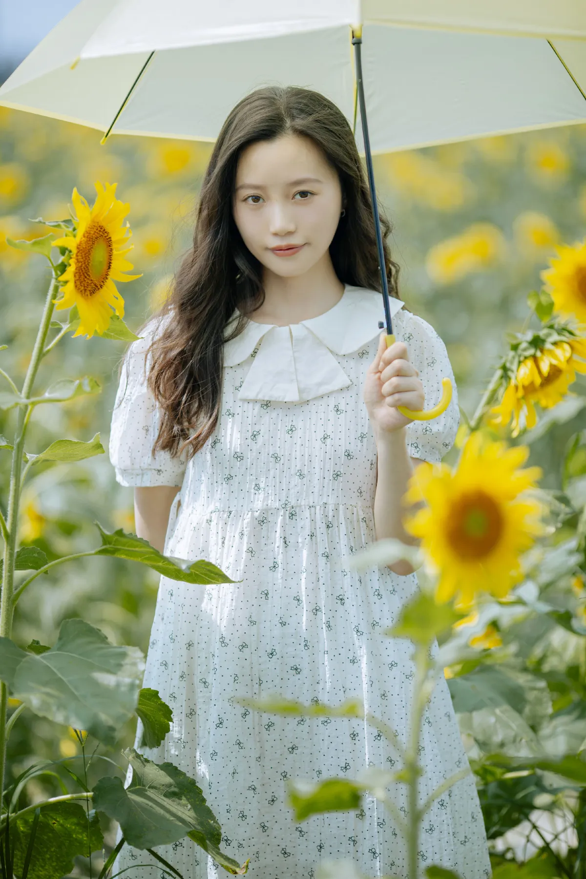 春和陆梨_绿豆《打碎了一片艳阳》美图作品图片5