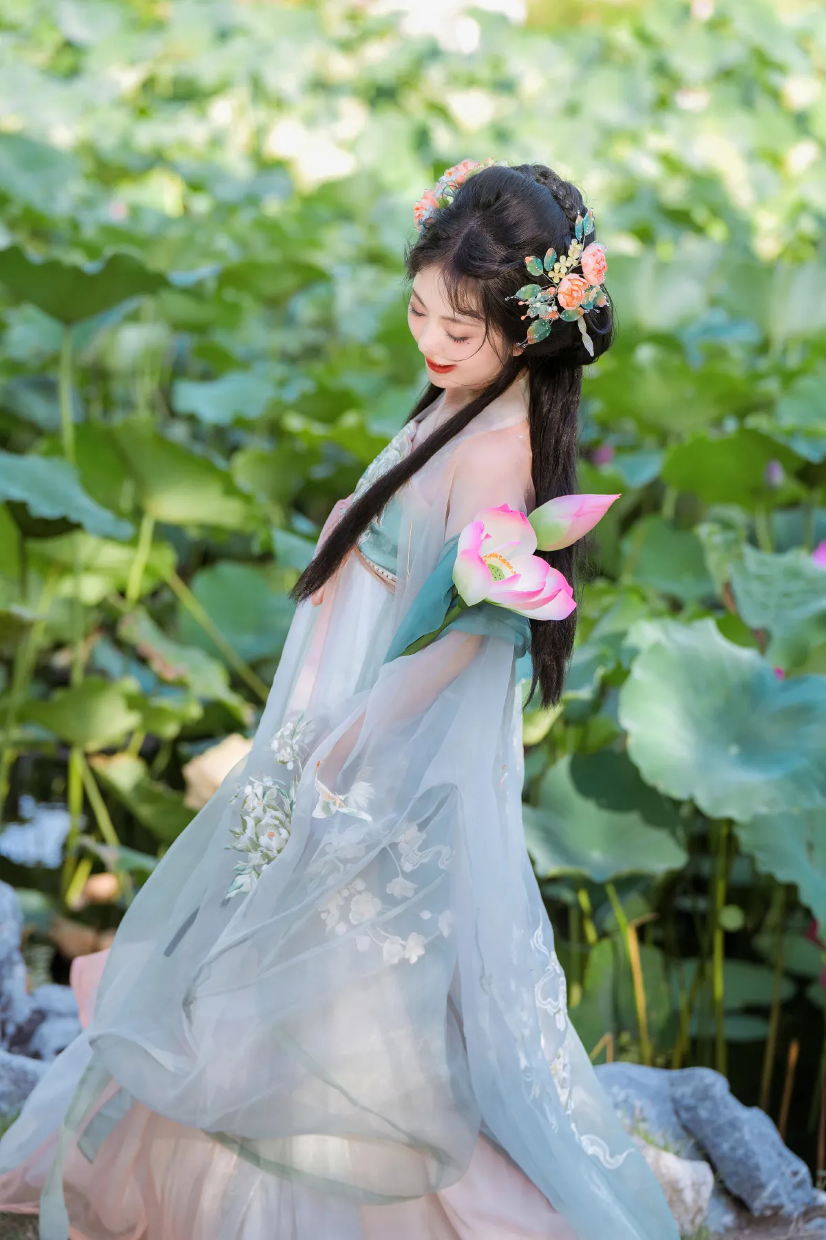 芙蕖2