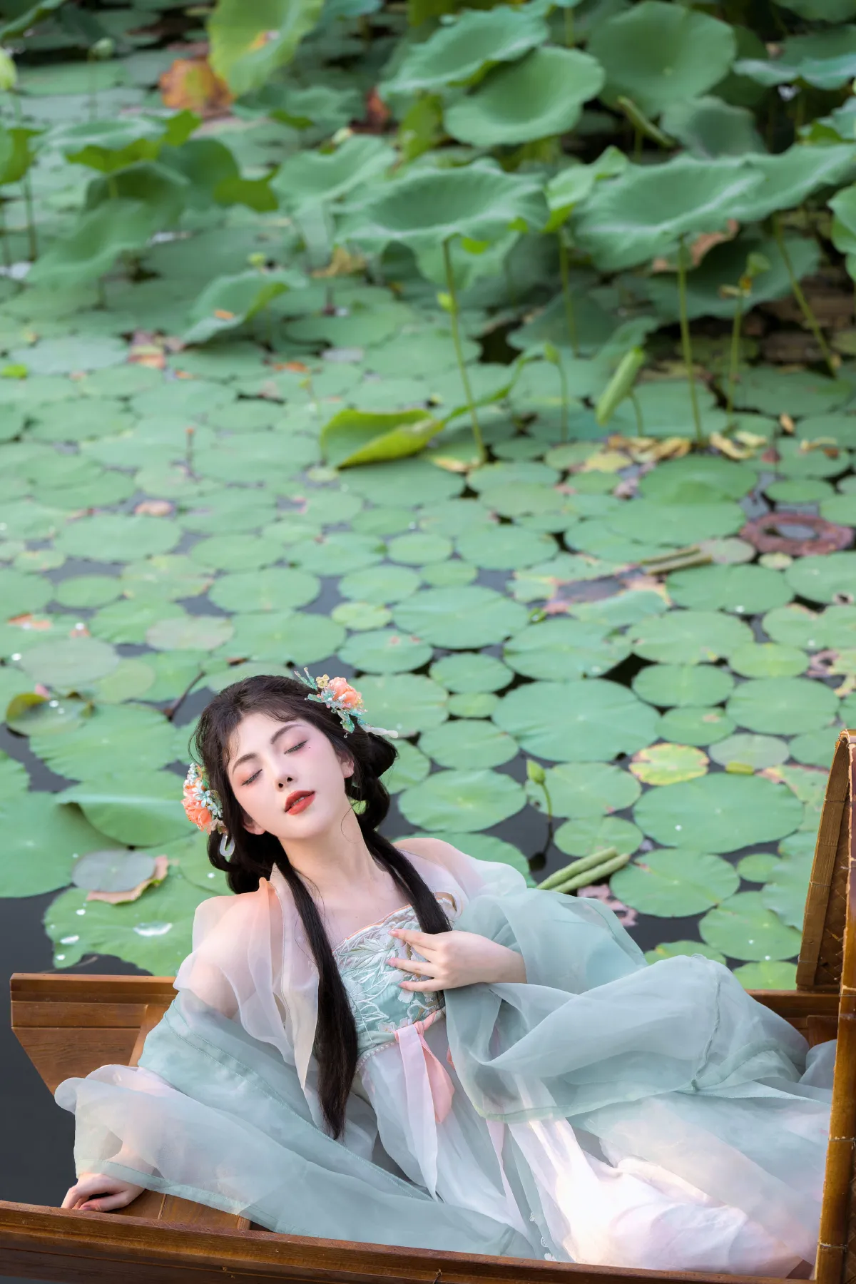 芙蕖