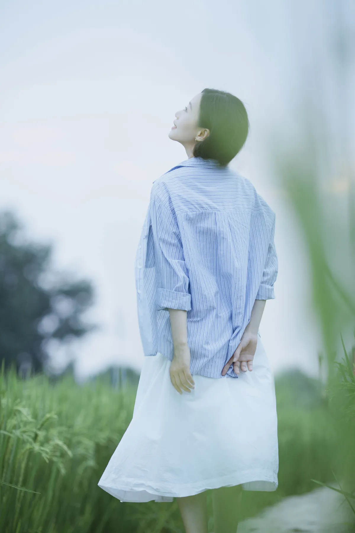 夏日野外