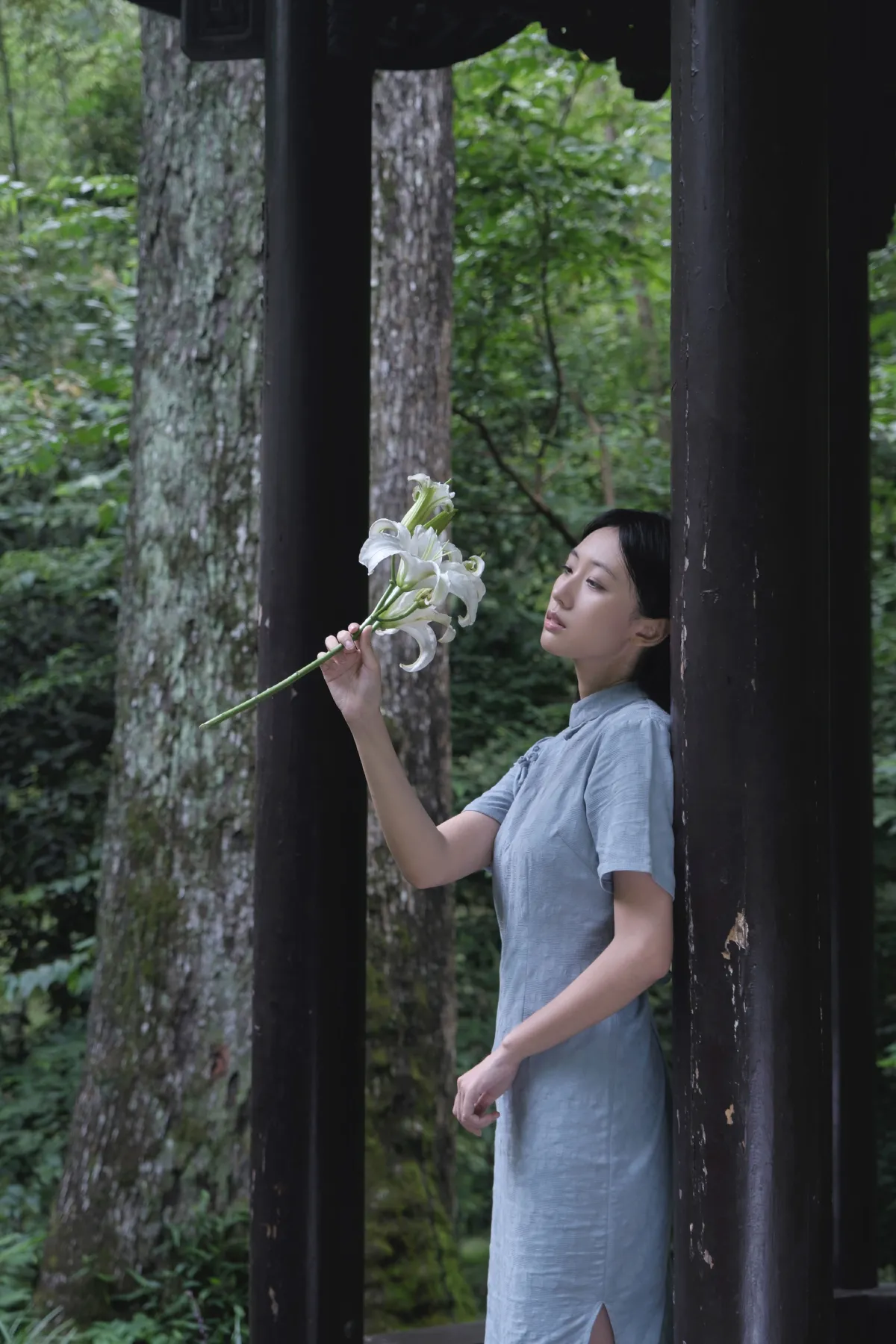 清冷百合