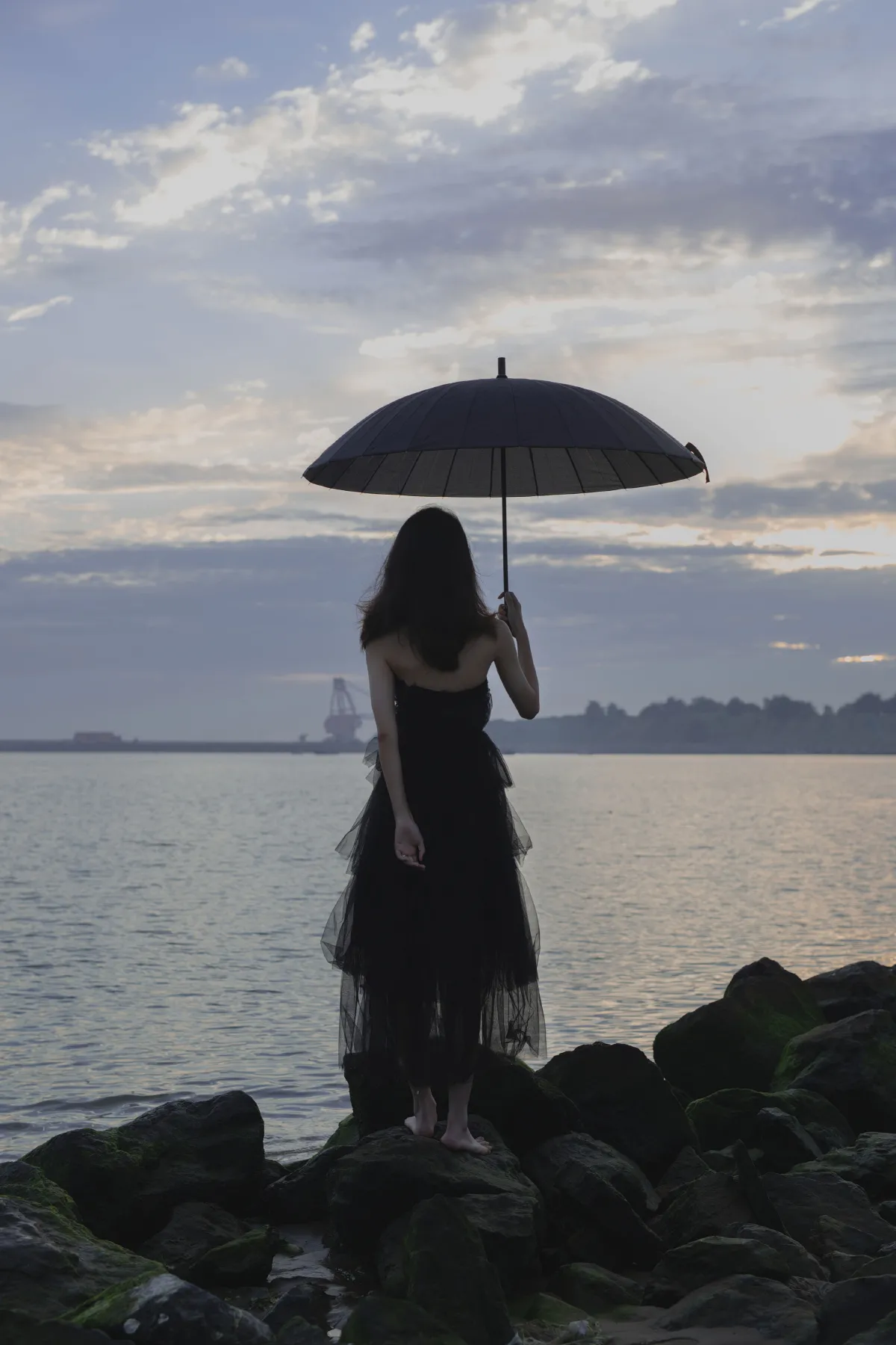 海的情绪