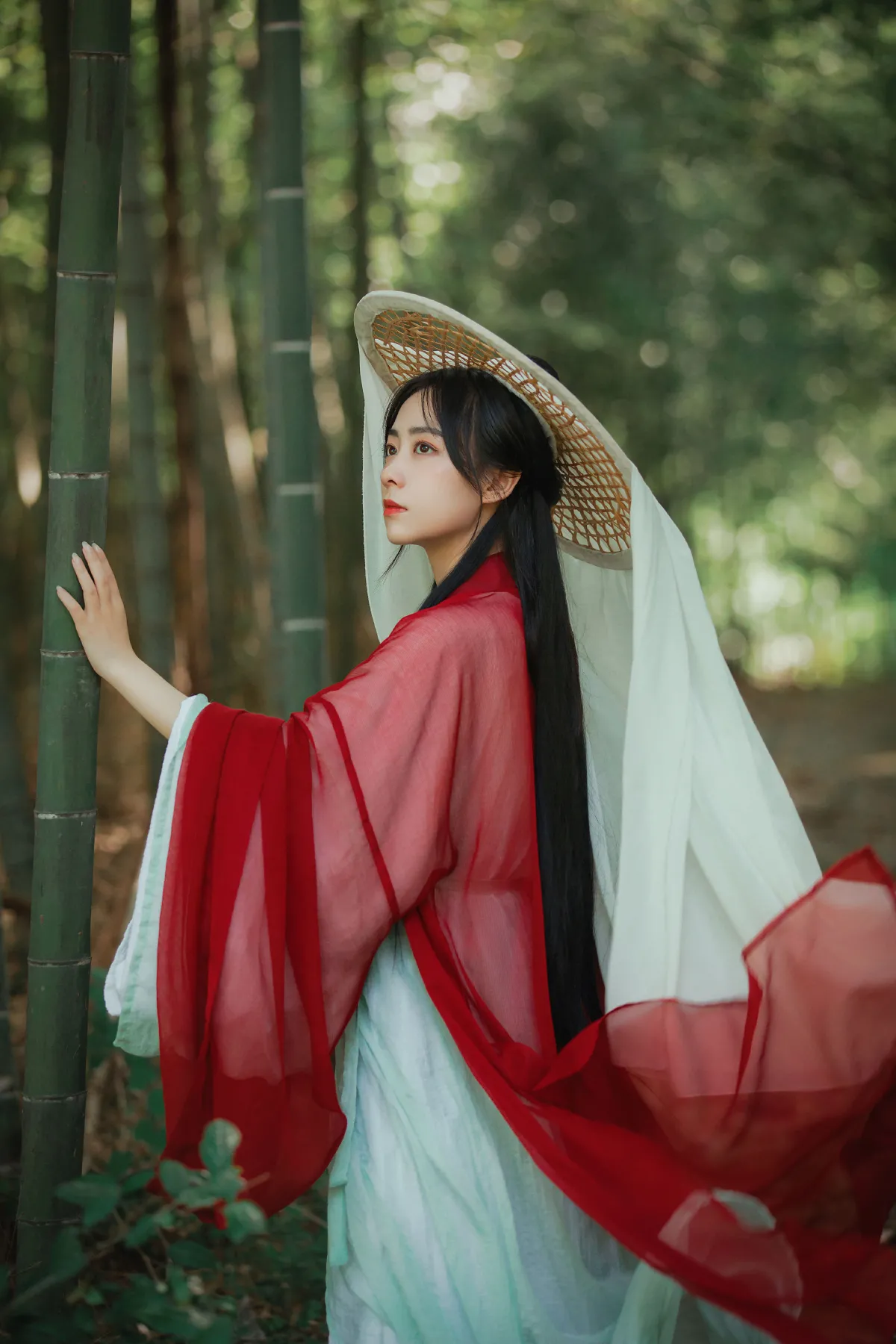 青山隐3