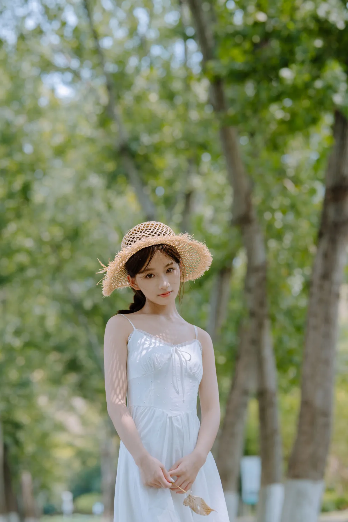 盛夏时节3