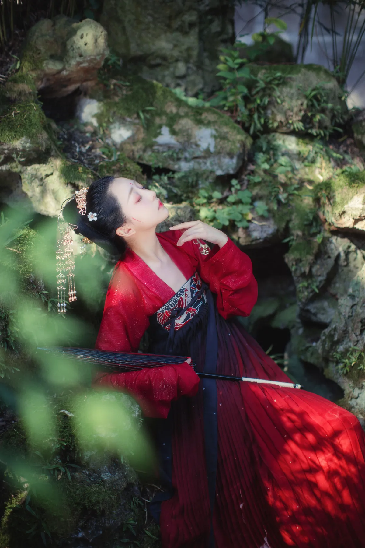 红豆