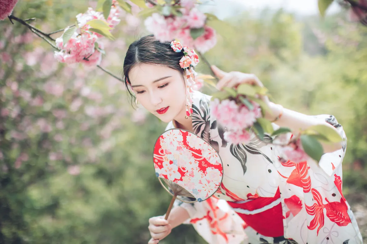 春天的回忆2