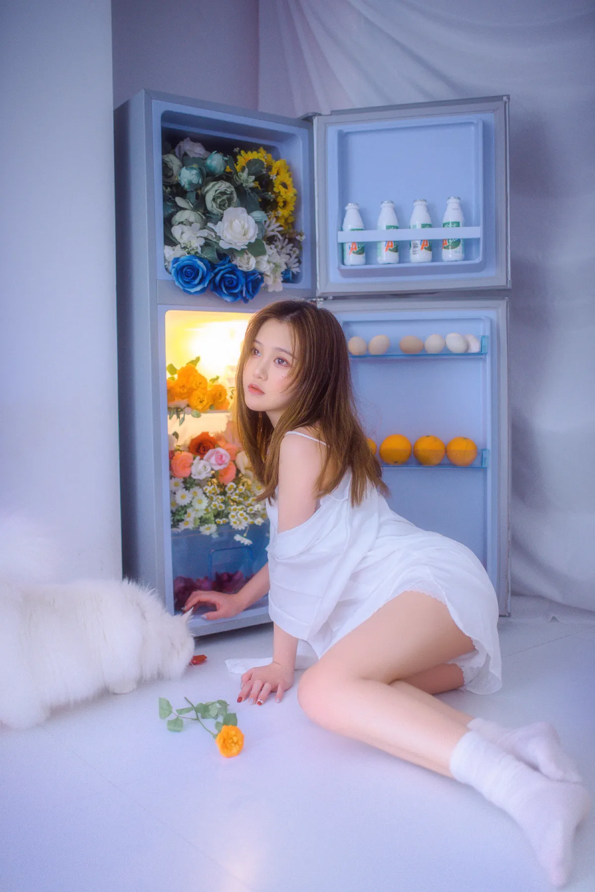 冰箱是生活 鲜花是浪漫