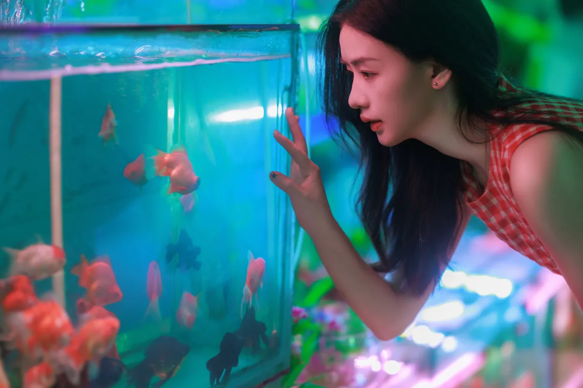 游水族馆