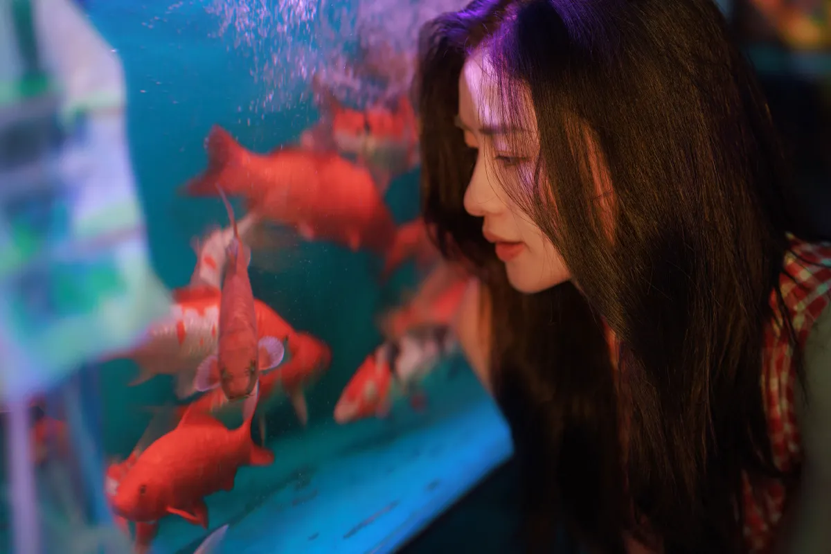 游水族馆