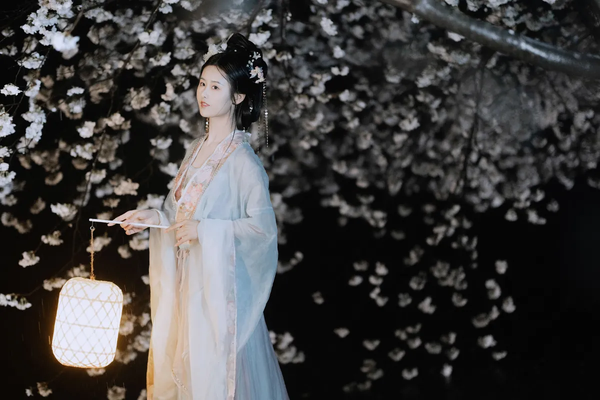 夜雨赏樱