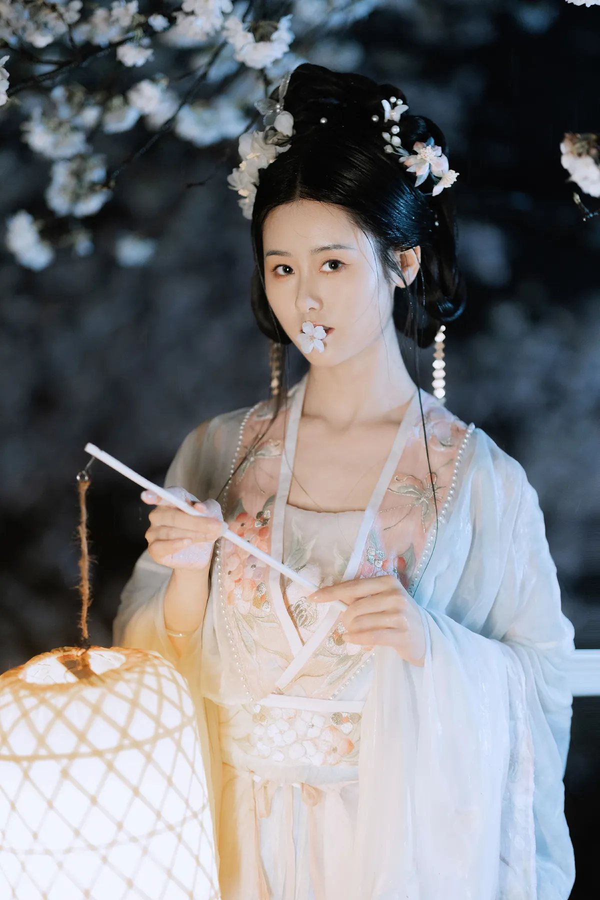 夜雨赏樱3