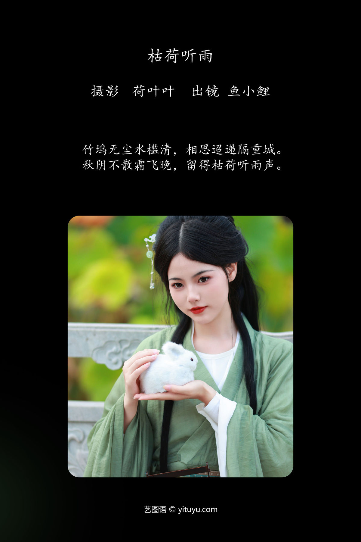 荷叶叶_魚小鯉lili《枯荷听雨》美图作品图片2