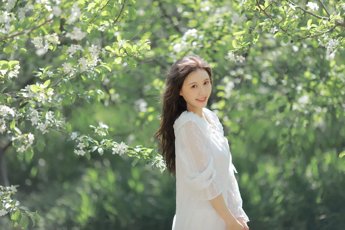 春花绽放，如你一般美丽2