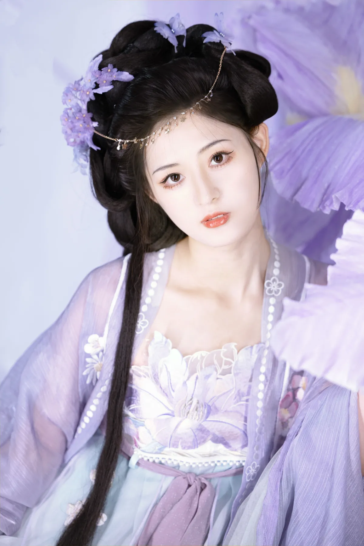 紫鸢尾3
