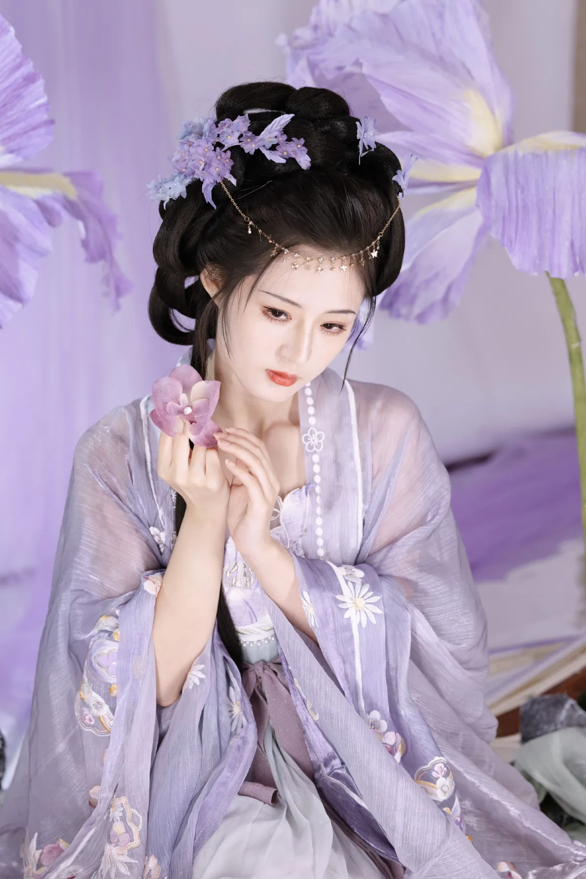 紫鸢尾4