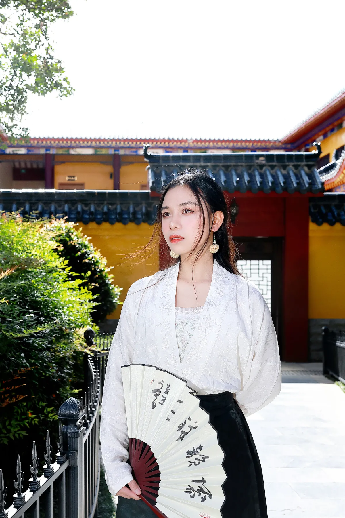 慈悲佛影 悠闲古韵2