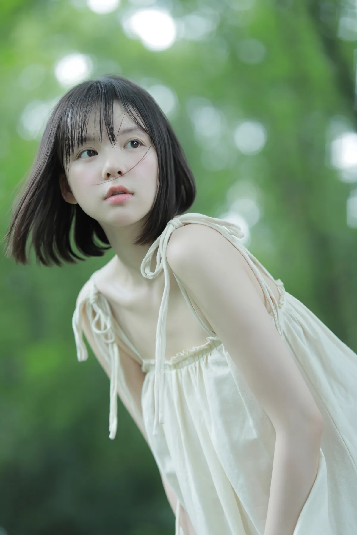 风的来信