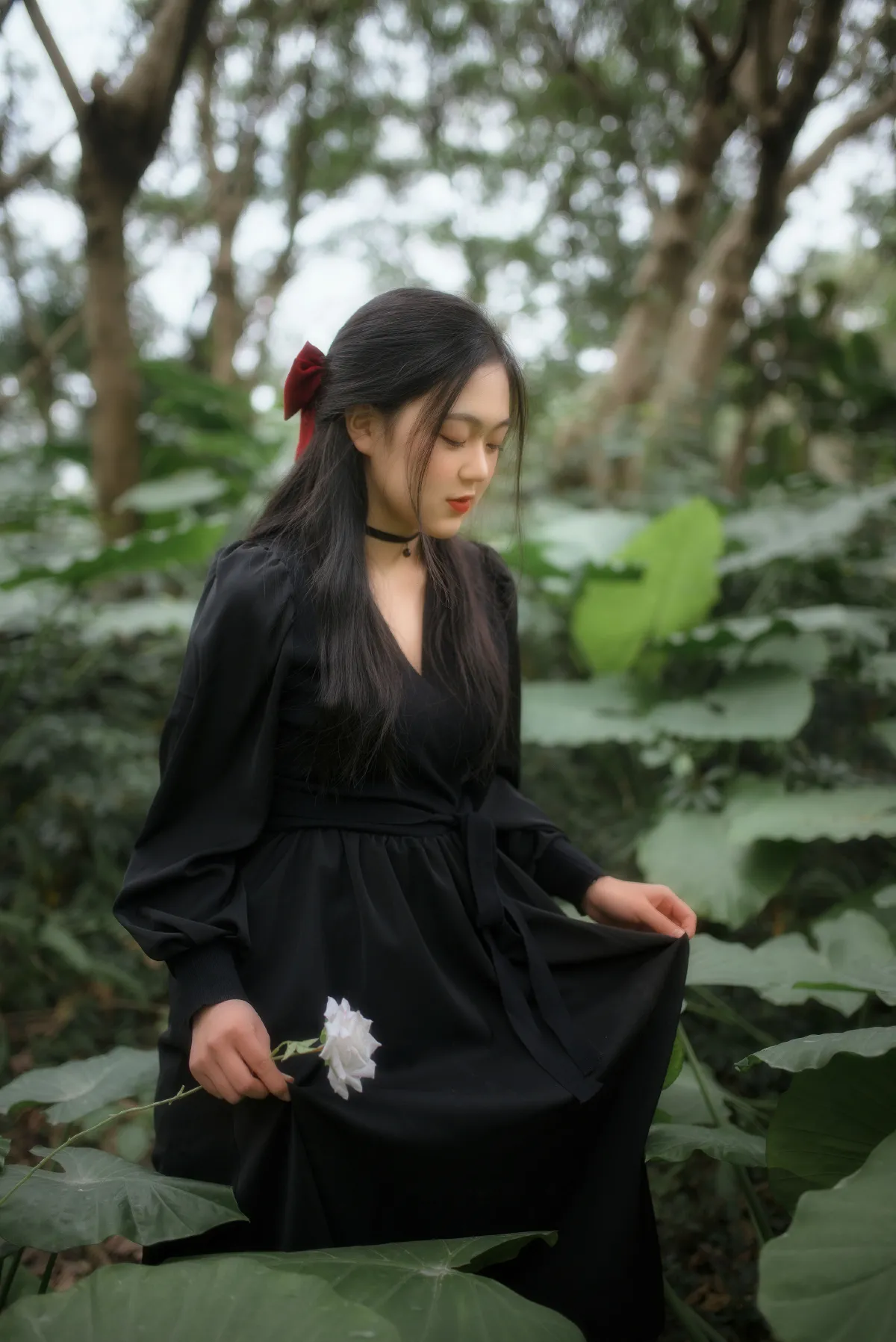 一朵永生花3