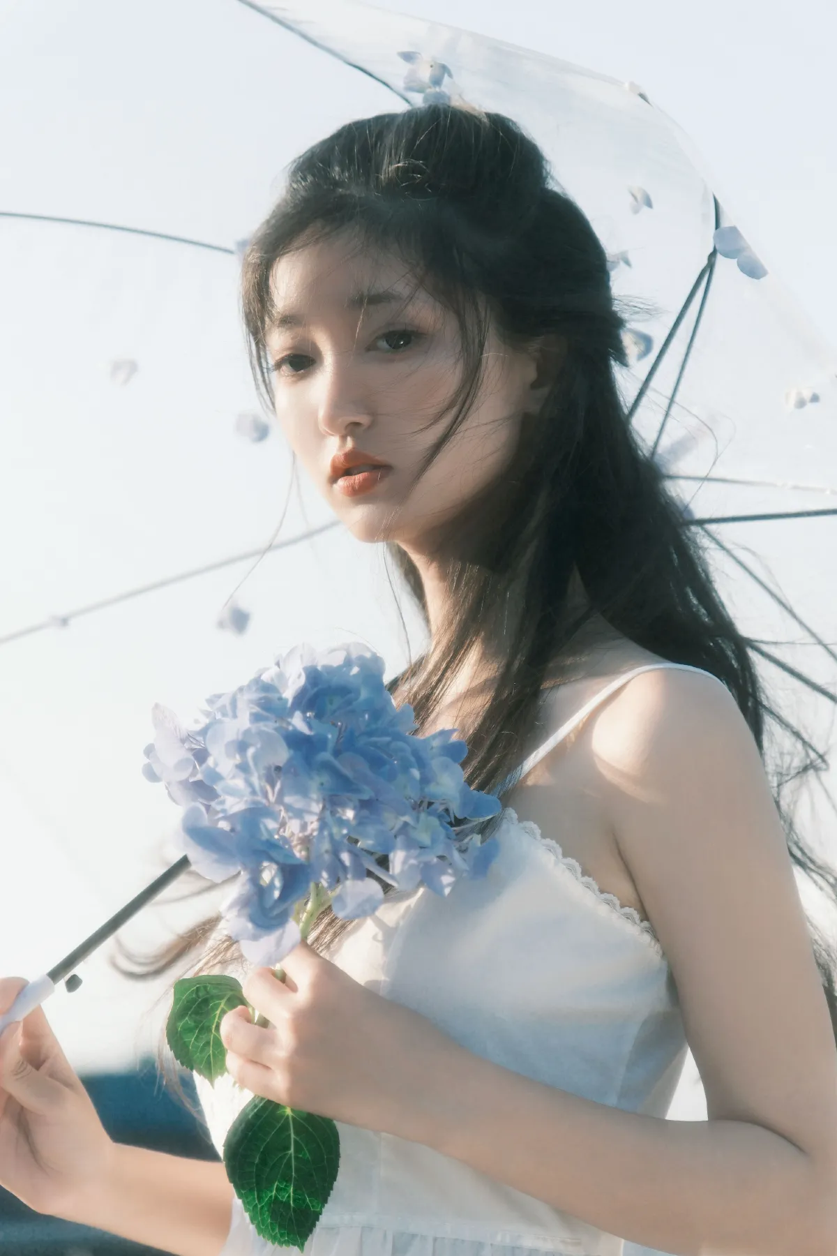 降于青蓝2