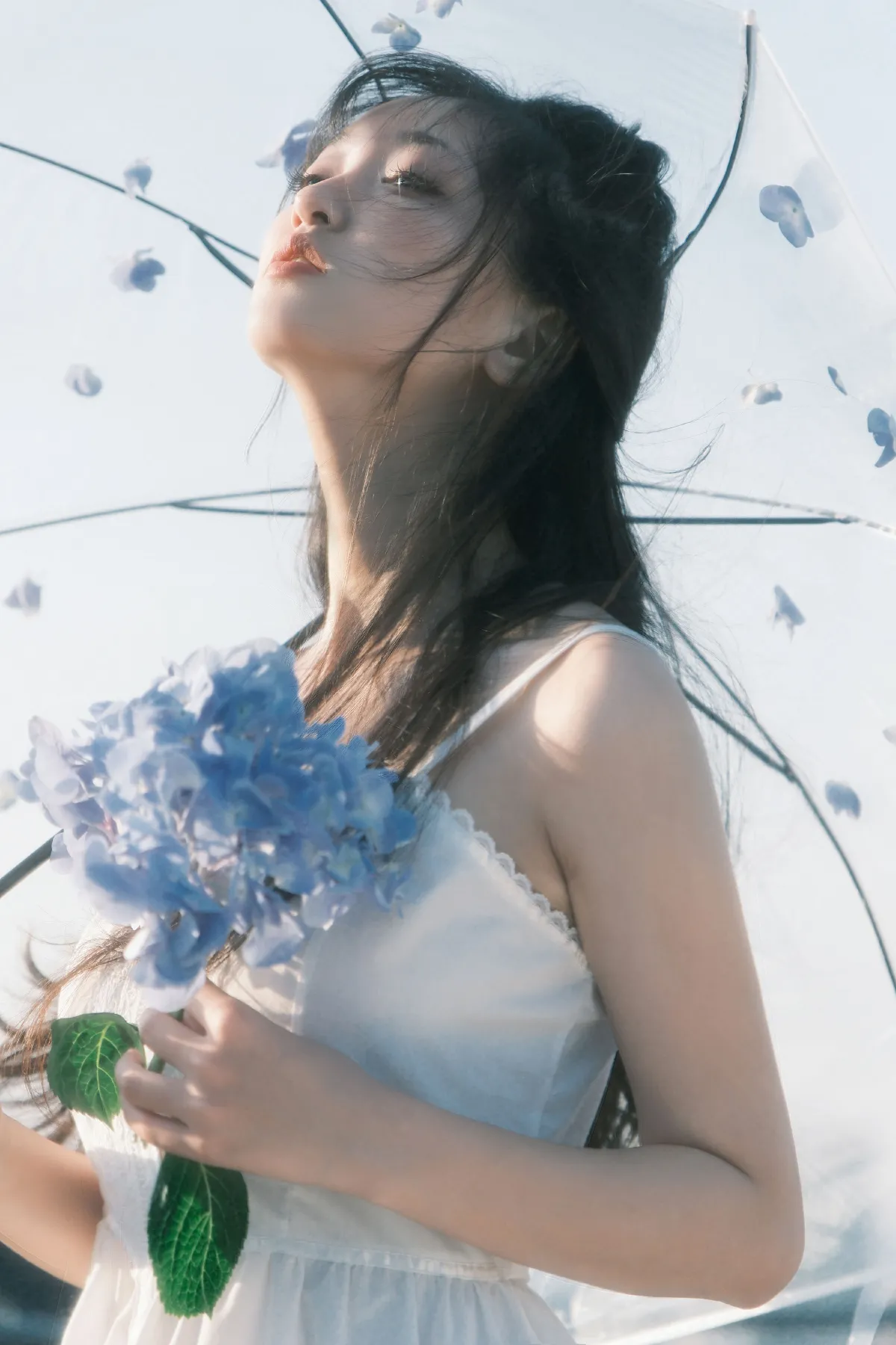 降于青蓝