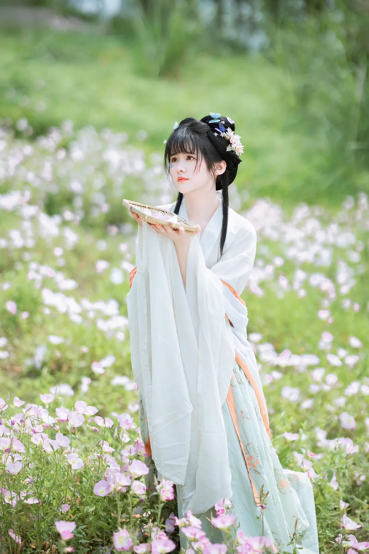 春之丽1