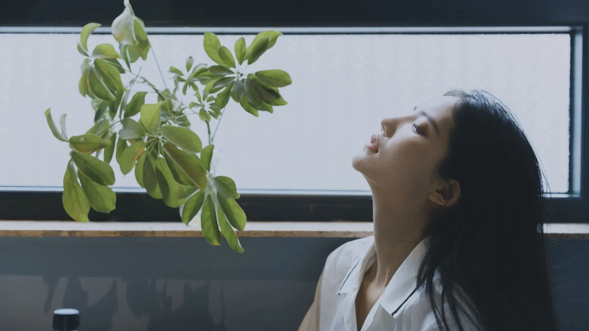 秋雨2