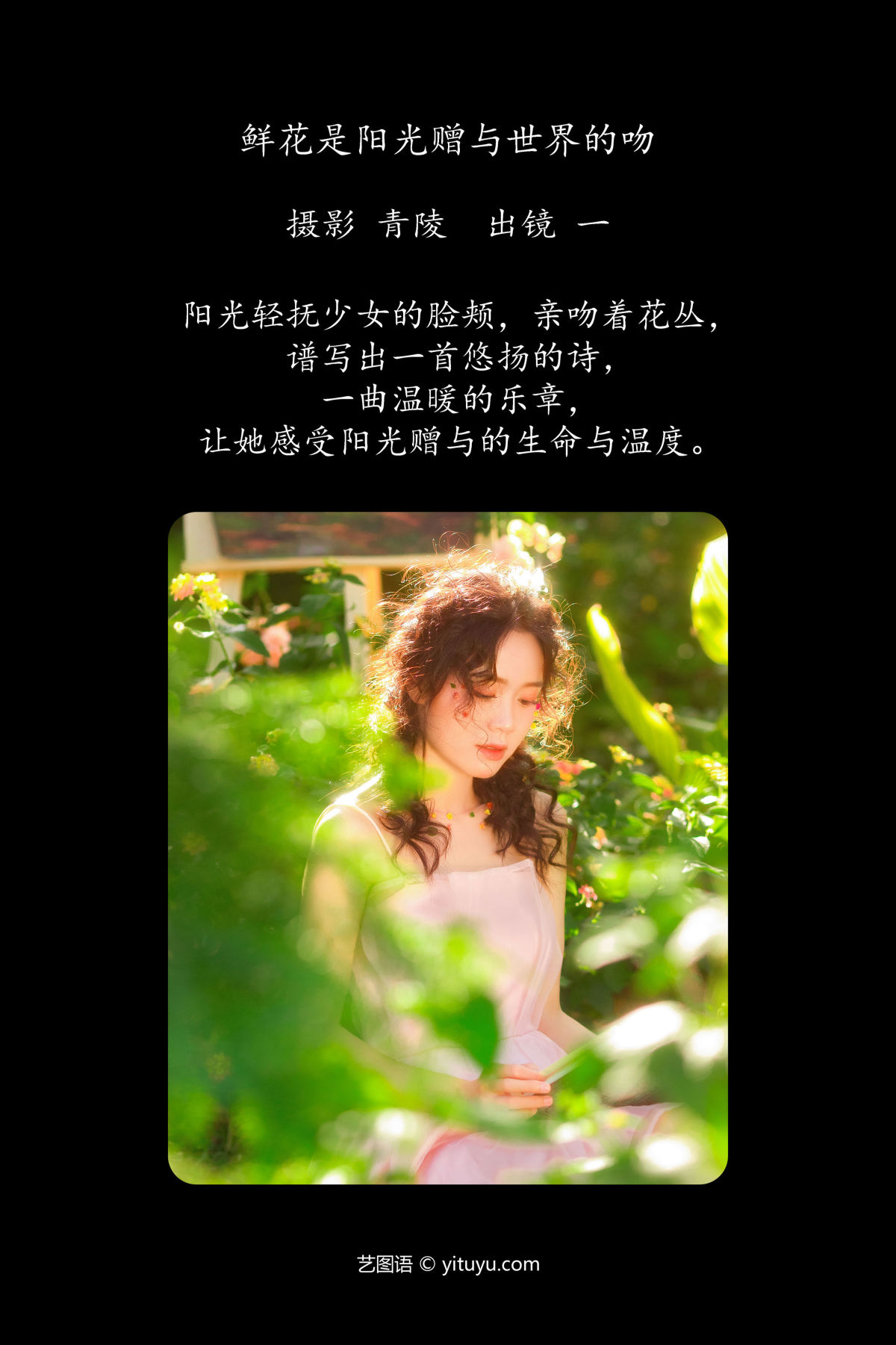 青陵_一《鲜花是阳光赠与世界的吻》美图作品图片2
