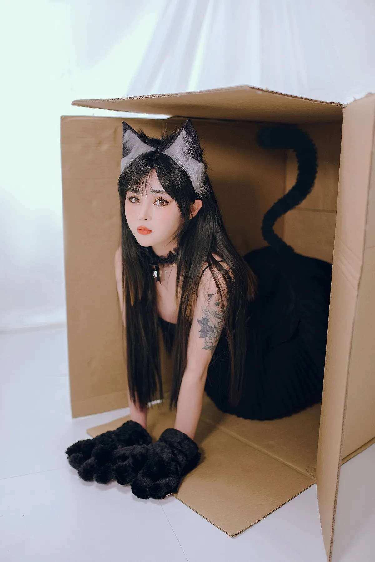 小黑猫