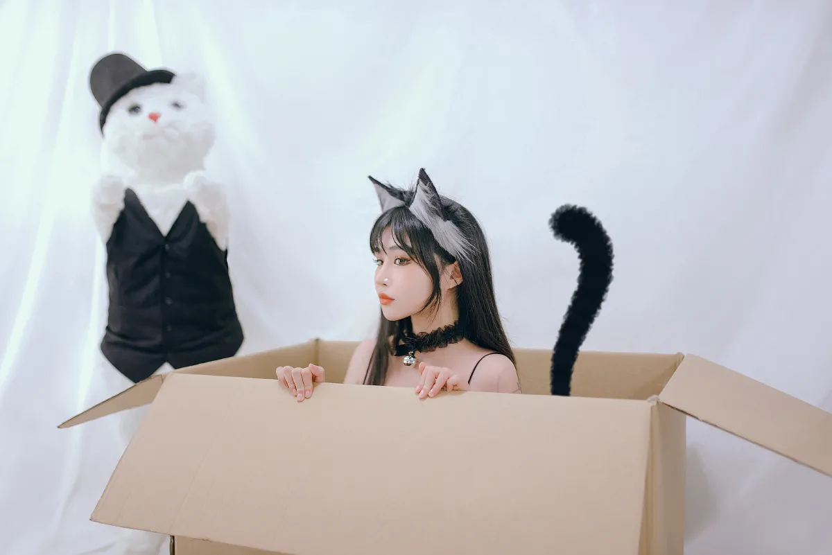 小黑猫1
