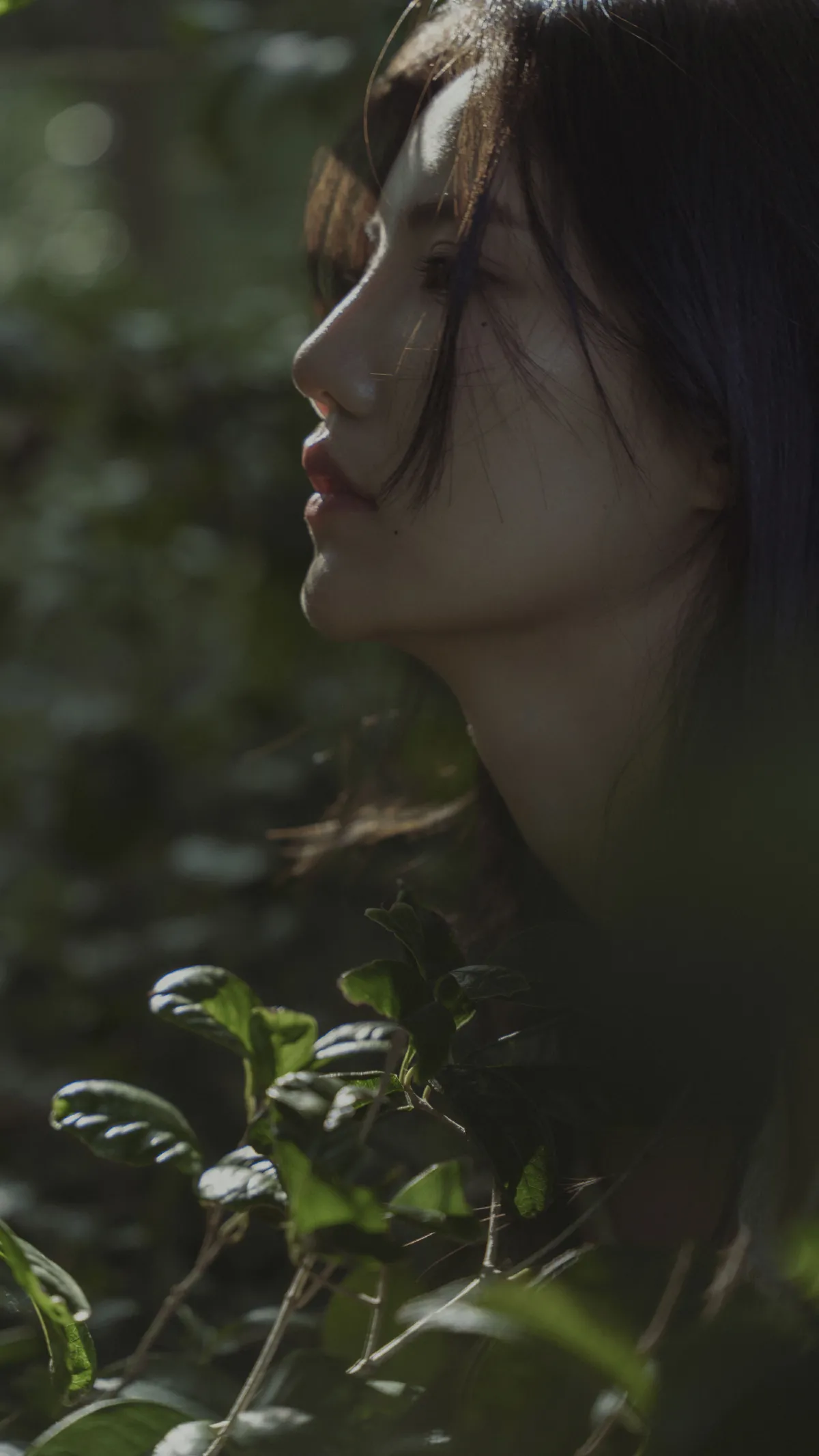 迷宫