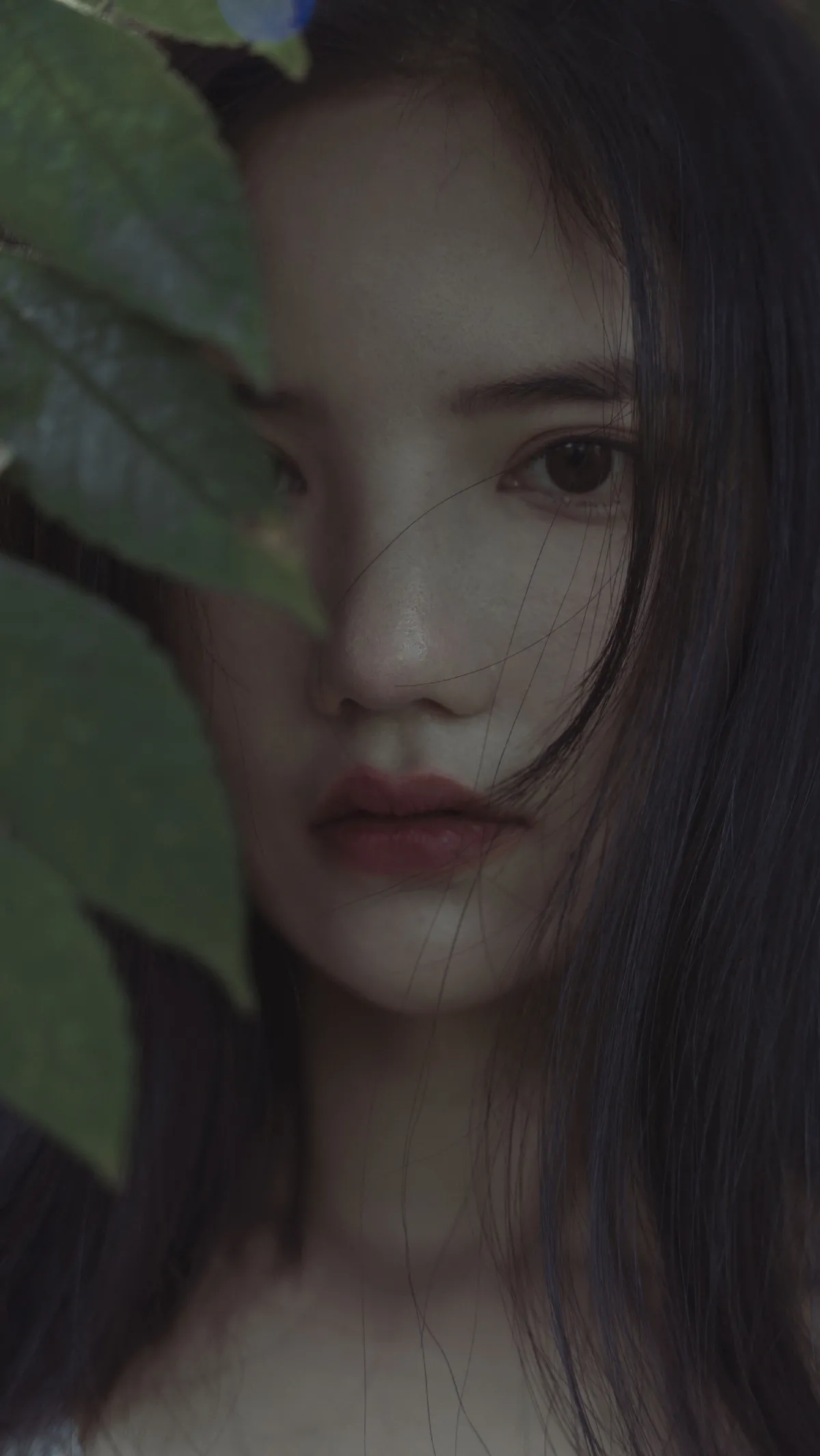 迷宫