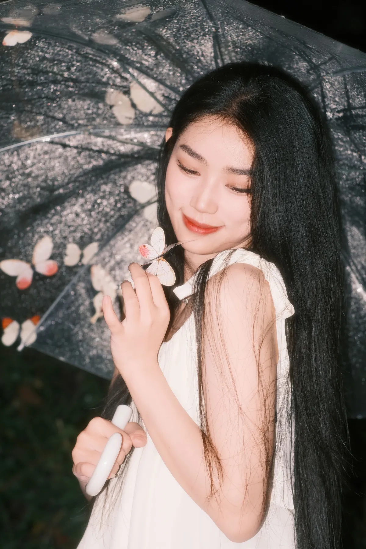白色雨蝶1