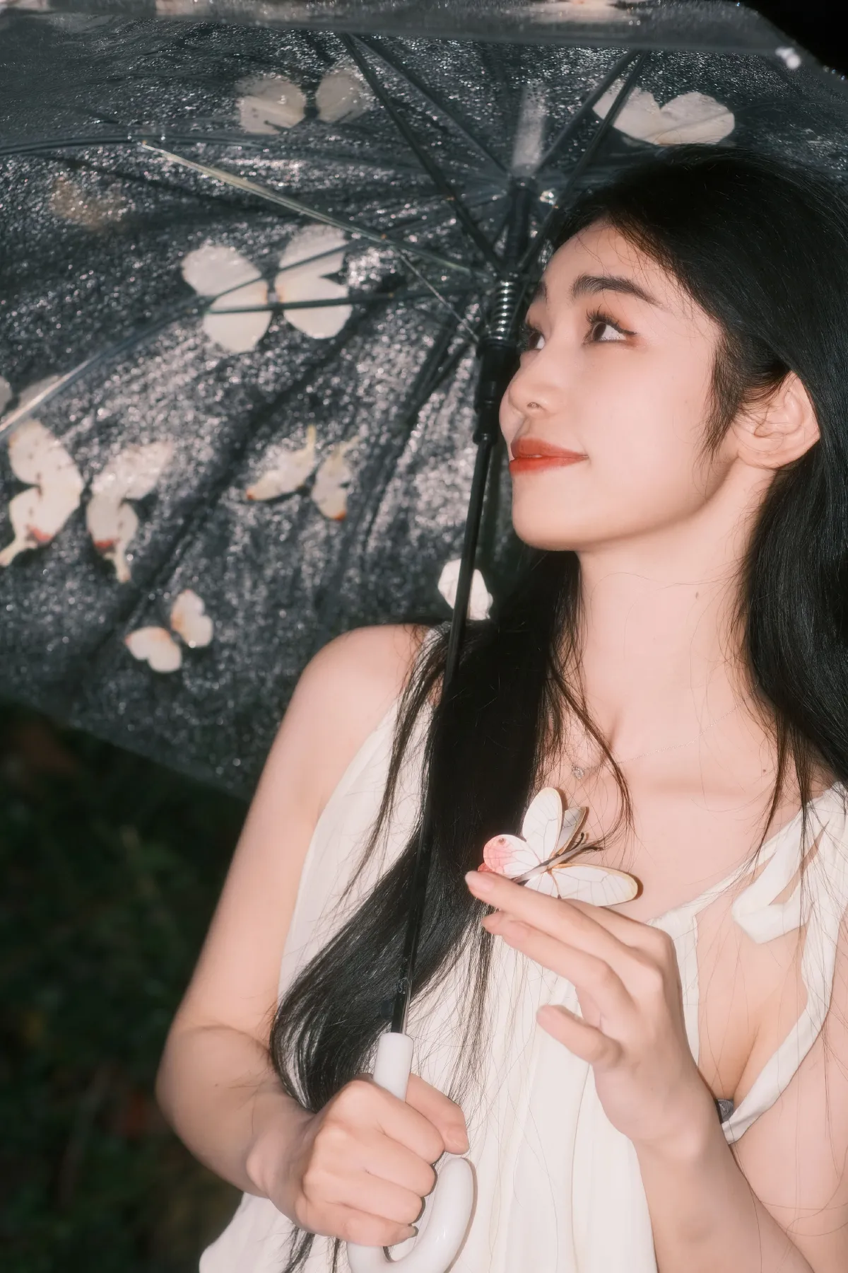 白色雨蝶2