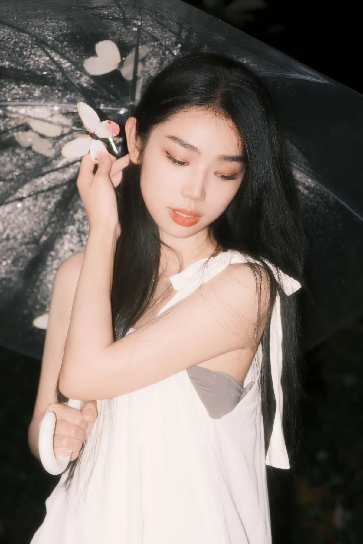 白色雨蝶3