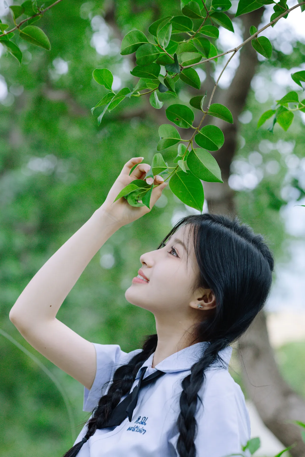 森林探索