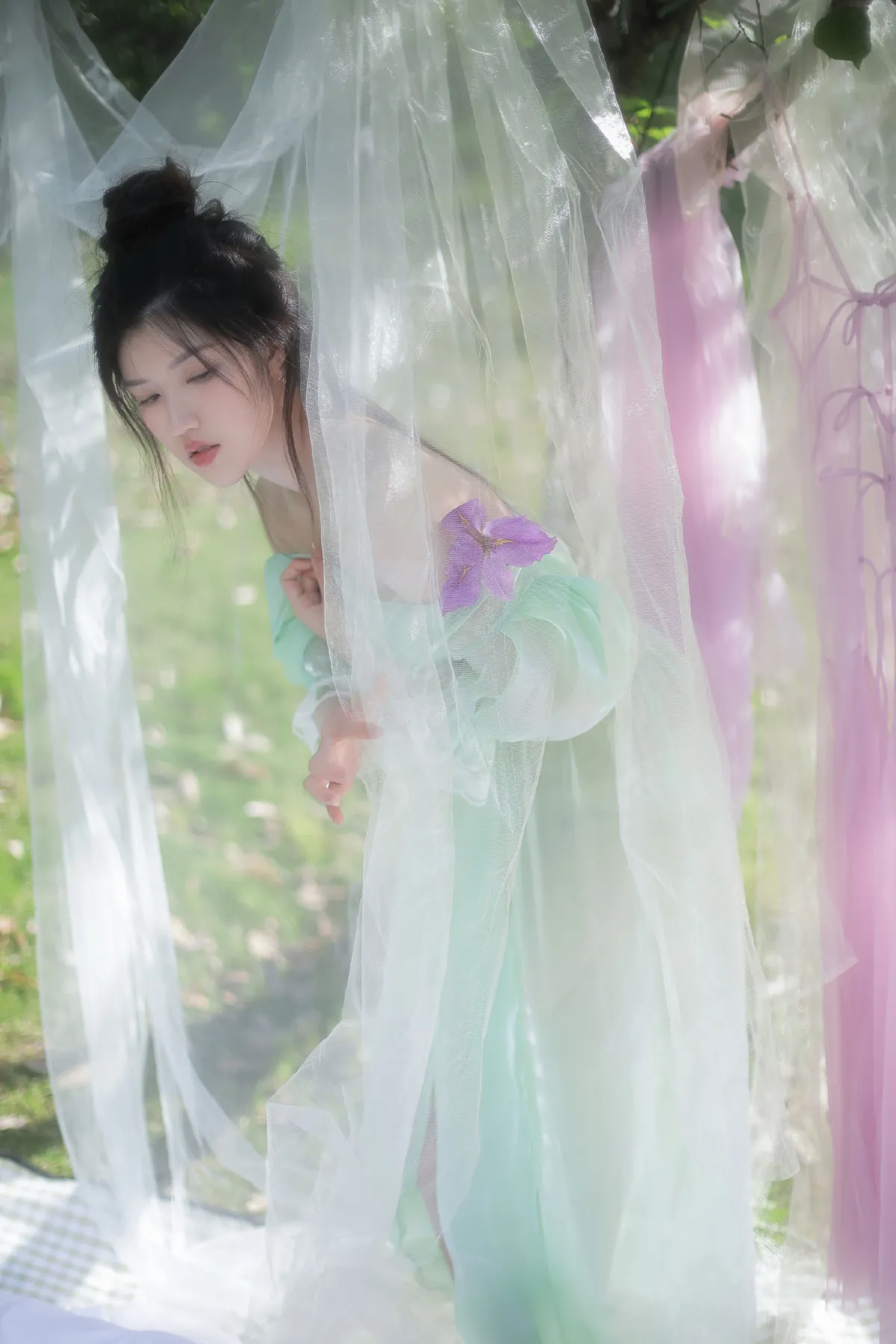 紫色鸢尾