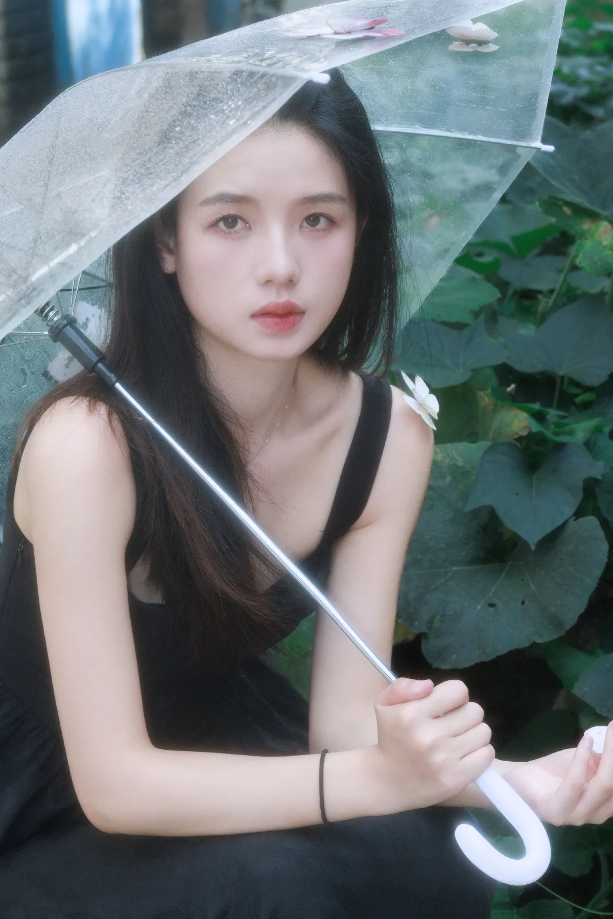 破碎蝶梦