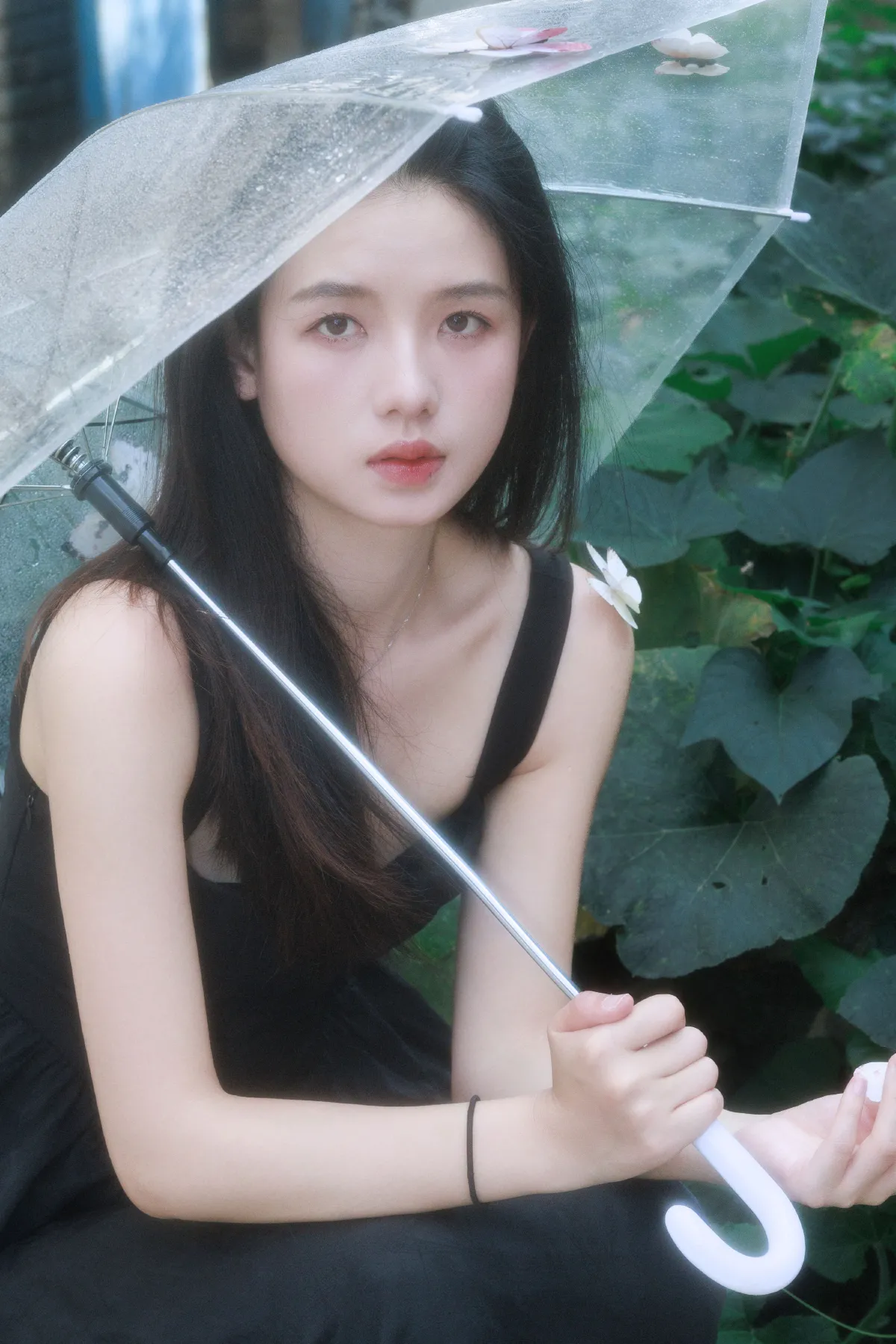 破碎蝶梦3
