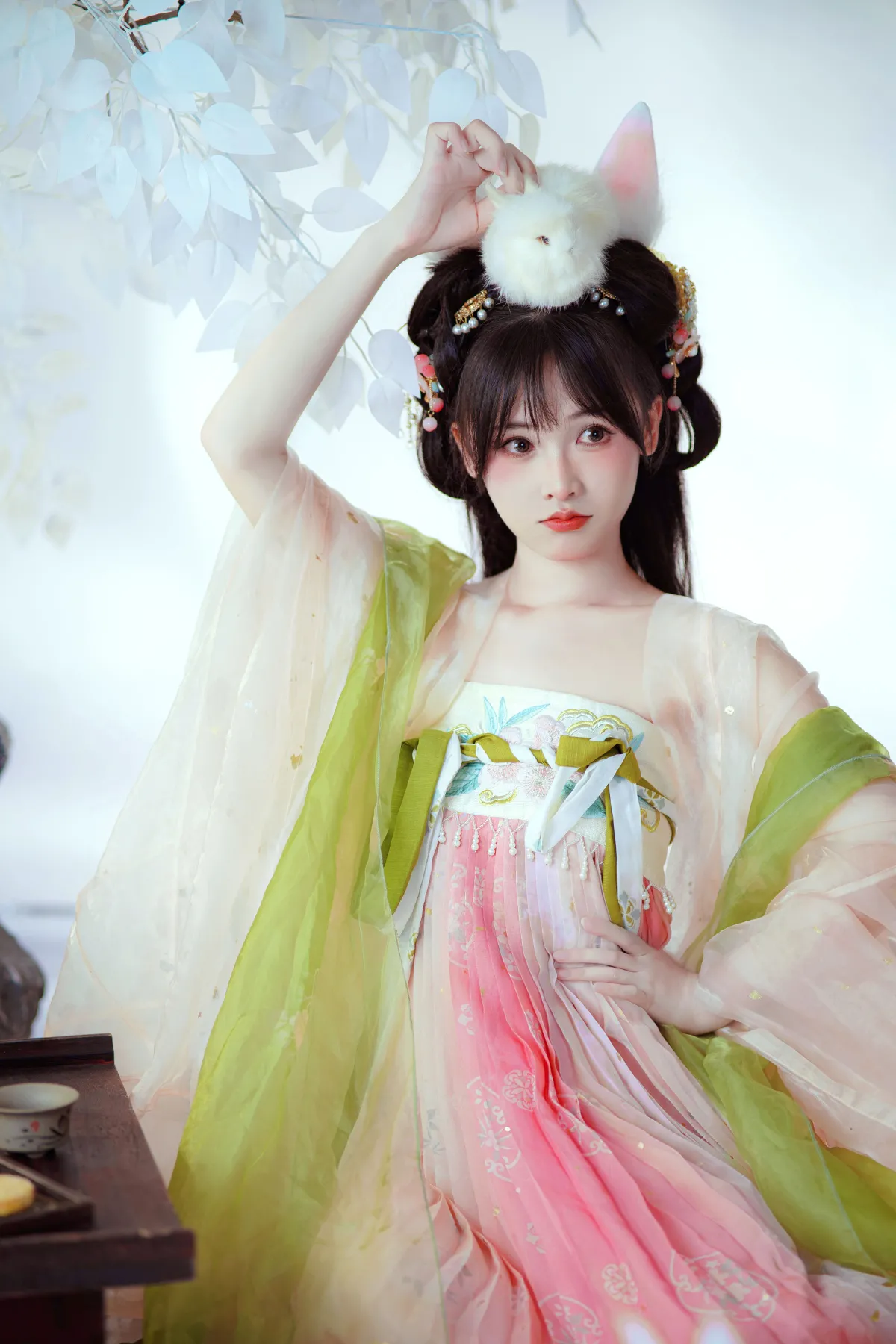 玉兔1