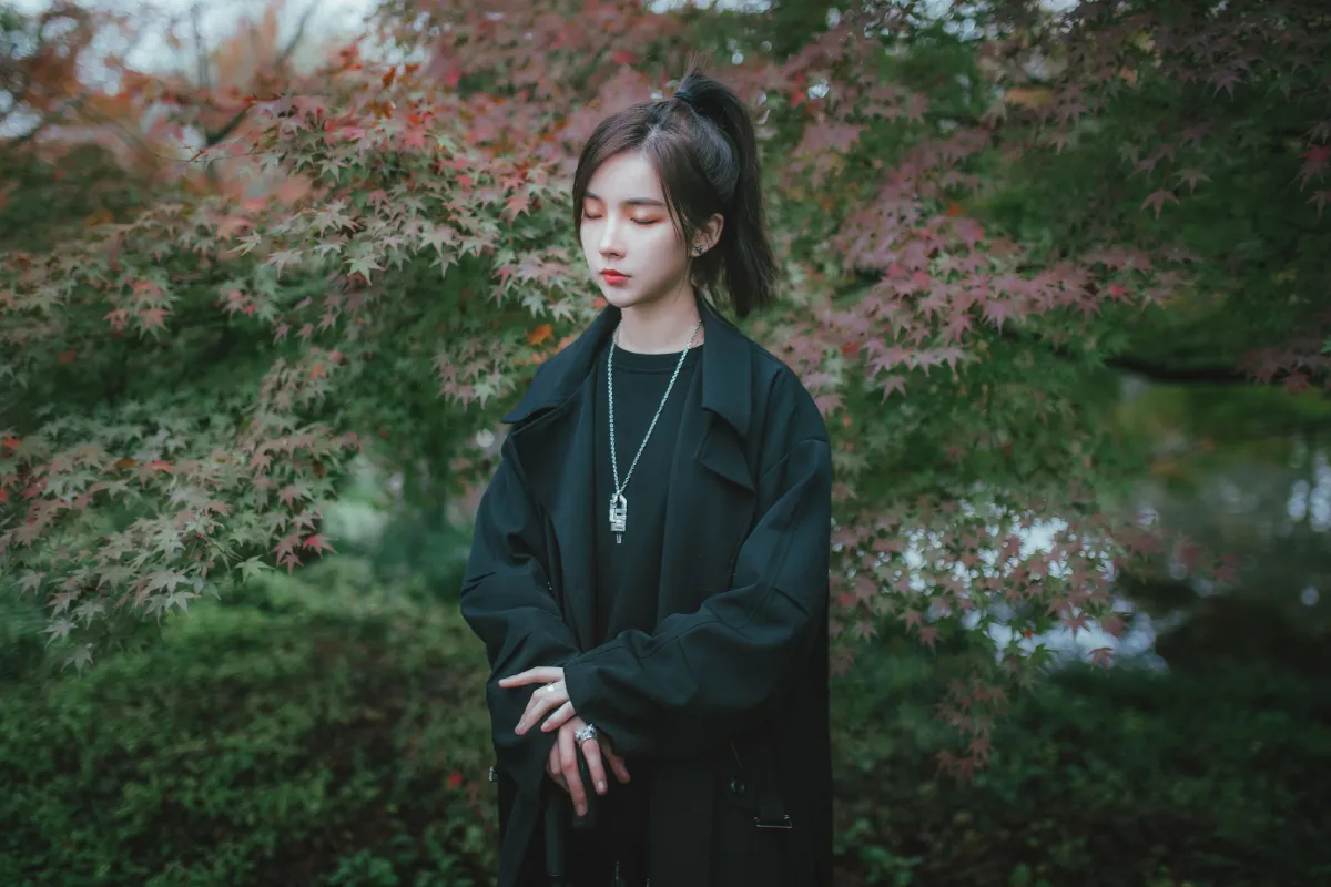 枫