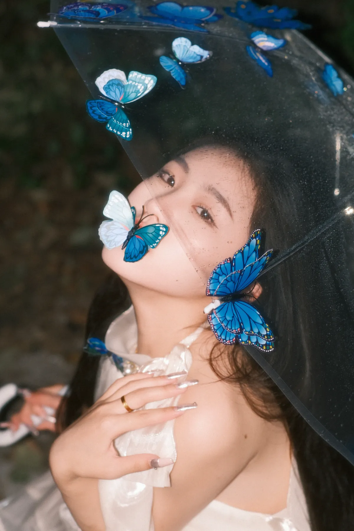 碎梦雨蝶2