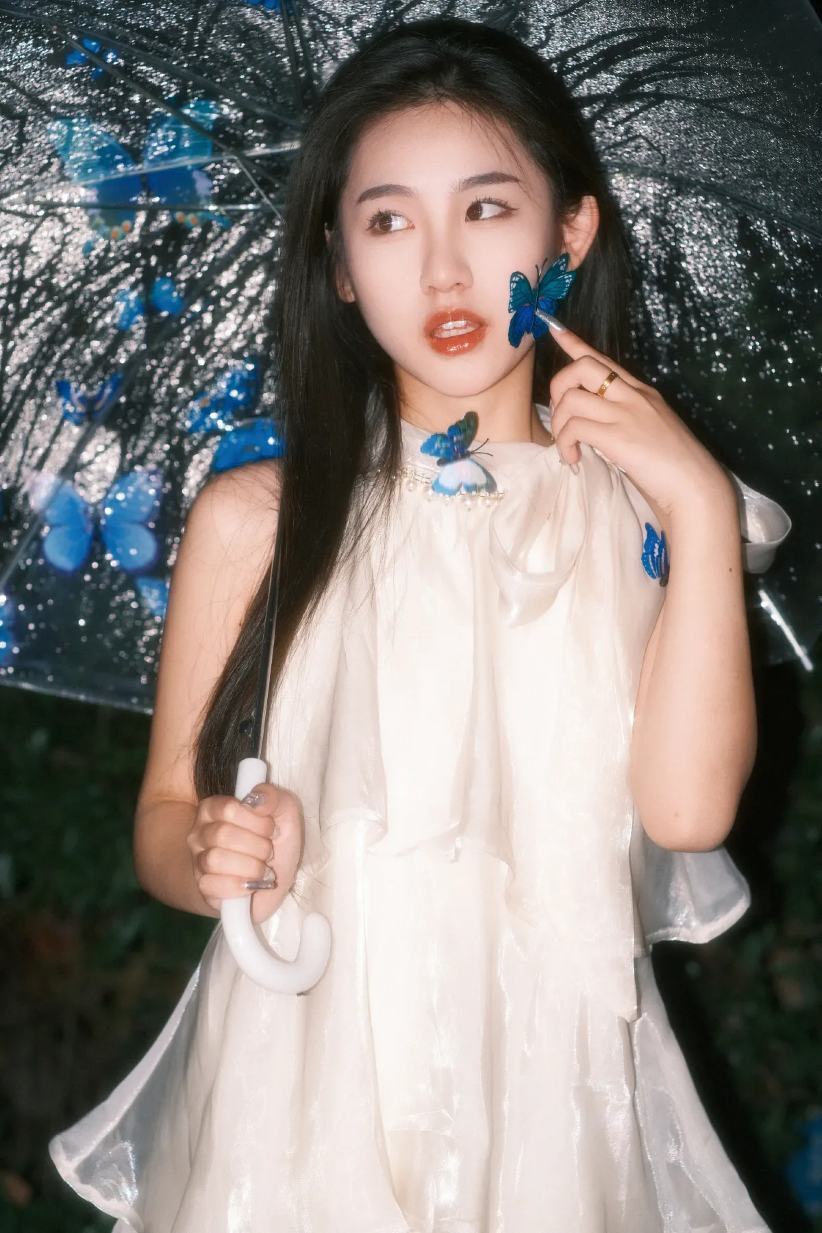 碎梦雨蝶3